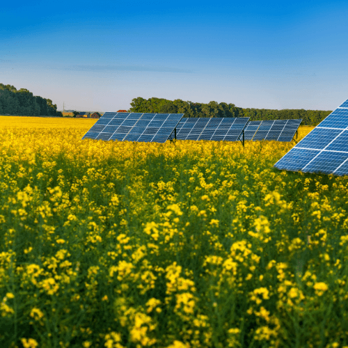 Solar farm on a farm